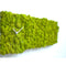 Moderne design klok Progetti Clock Circle rechthoek 20cm Groen