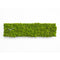 Moderne design klok Progetti Clock Circle rechthoek 20cm Groen