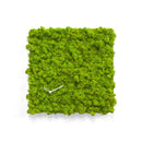Moderne design klok Progetti Clock Circle vierkant 40cm Groen