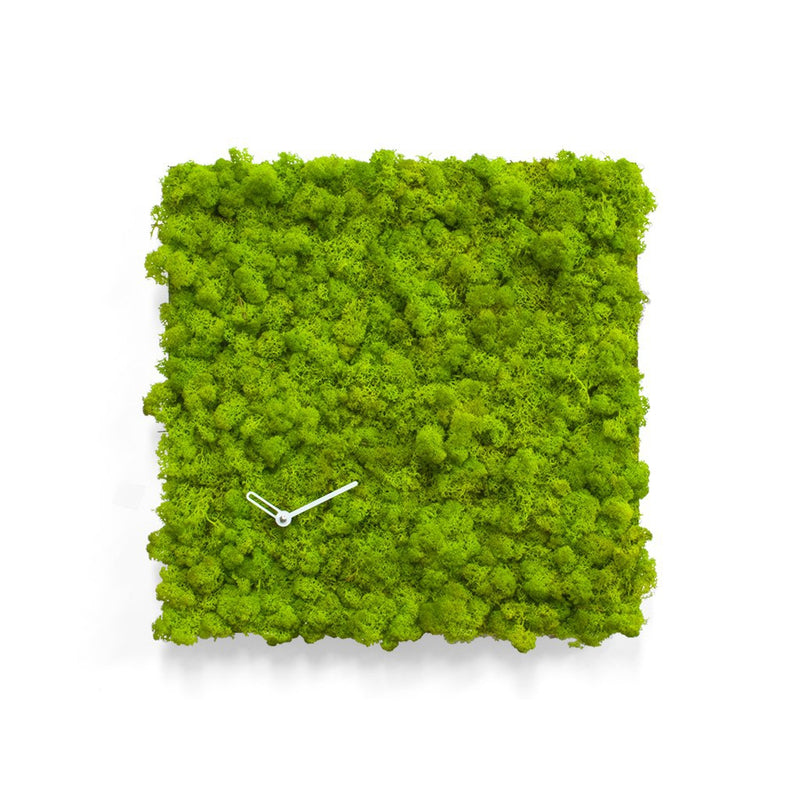 Moderne design klok Progetti Clock Circle vierkant 40cm Groen