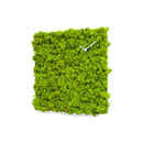 Moderne design klok Progetti Clock Circle vierkant 40cm Groen