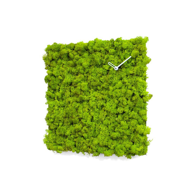 Moderne design klok Progetti Clock Circle vierkant 40cm Groen