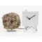 Moderne koekoeksklok Progetti Birdwatching 25cm Wit