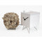 Moderne koekoeksklok Progetti Birdwatching 25cm Wit